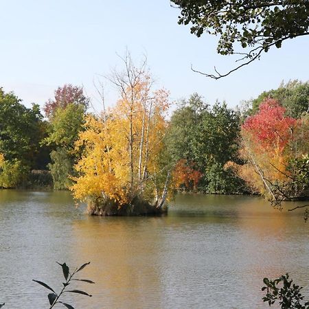 Ferienhaus "Ullersdorfer Teiche" Ullersdorf  Dış mekan fotoğraf